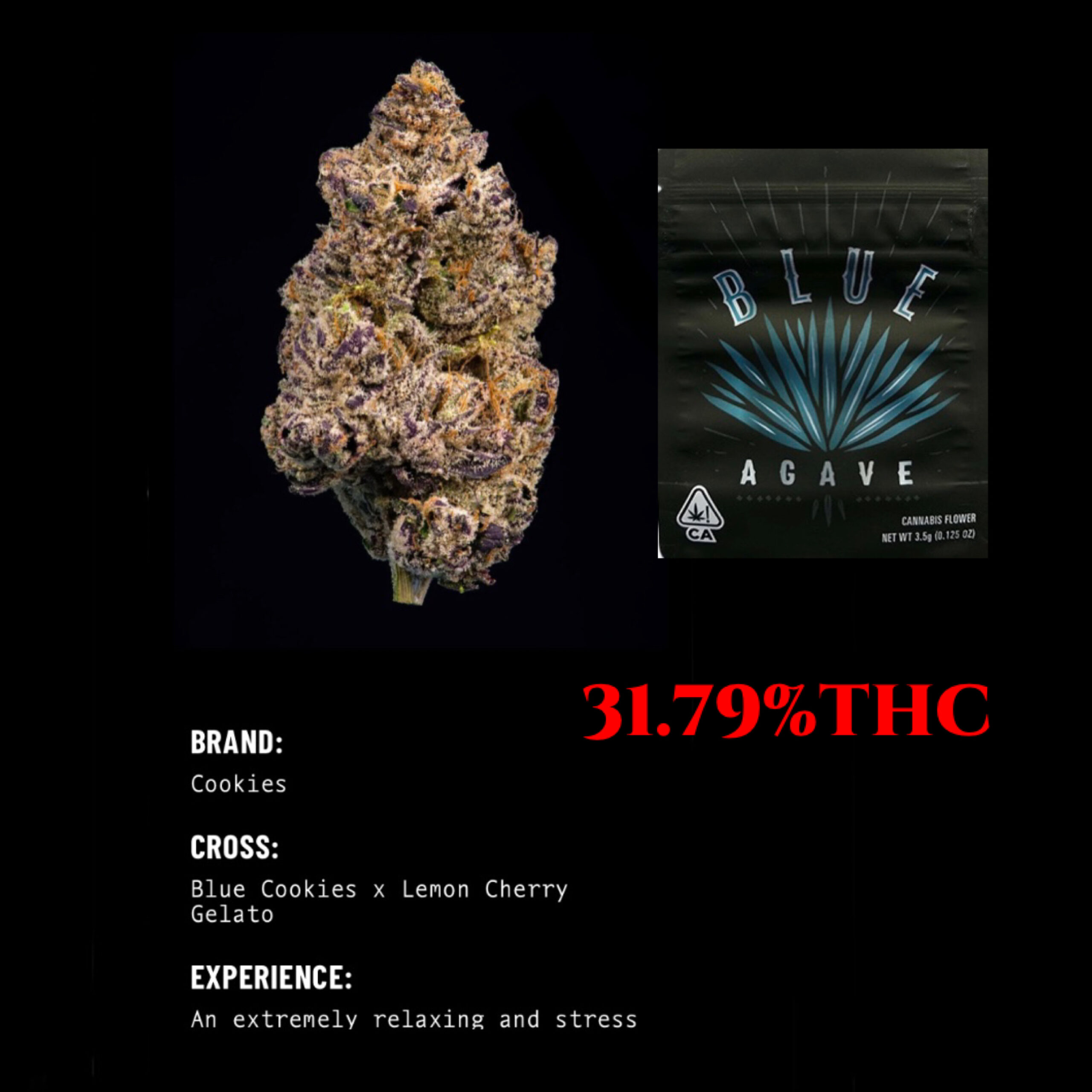 Cookies – Blue Agave 1/8oz (Hybrid) – Elevated Group Collective